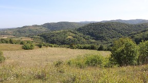 Šetnja za narodne kuhinje